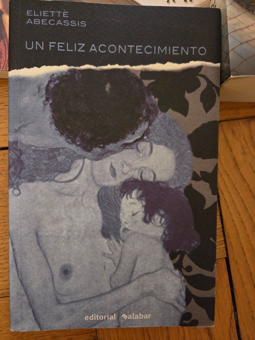 Libri: Perfekt gepflegte spanische Literatur – Usato da Zürich venduto da Anja67 6