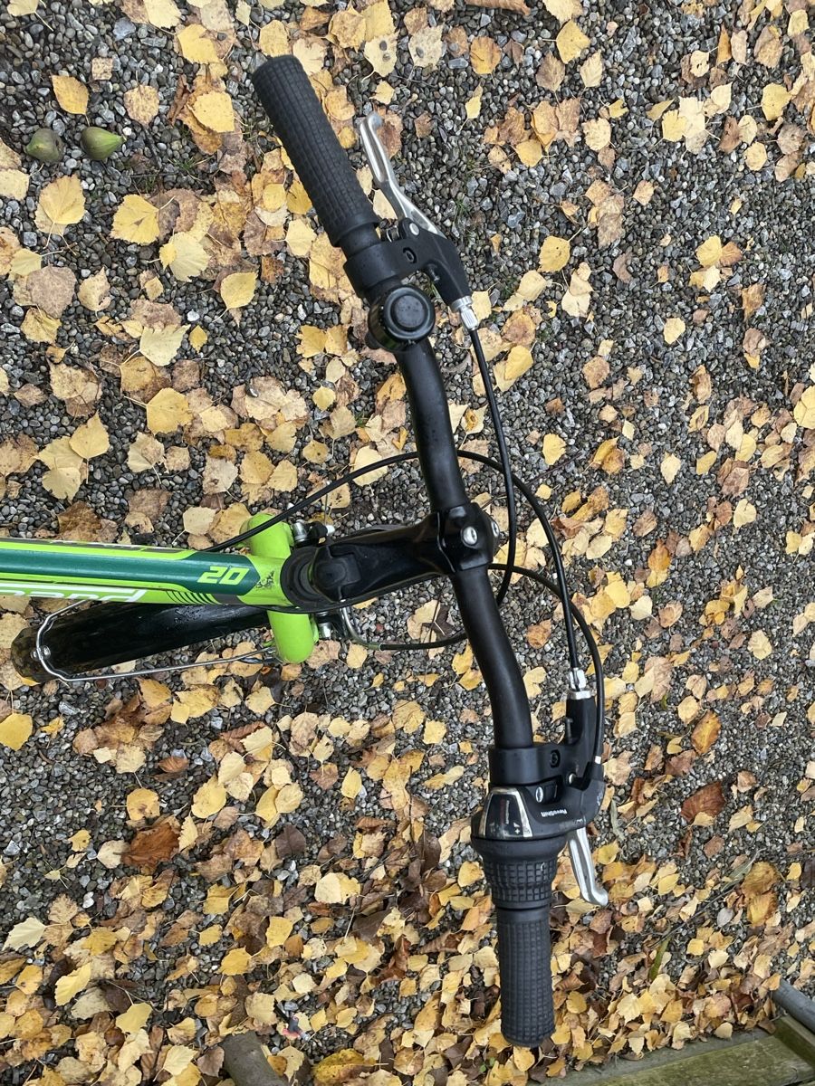 Leopard Biciclette: Leopard Fun Cat Kinderfahrrad – Usato da Winterthur venduto da luk_fw5p 4