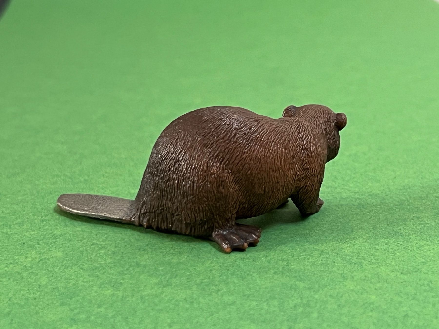 Schleich Statuette: Schleich Biber 14693 Tier – Usato da Ennetbaden venduto da mapa05 4