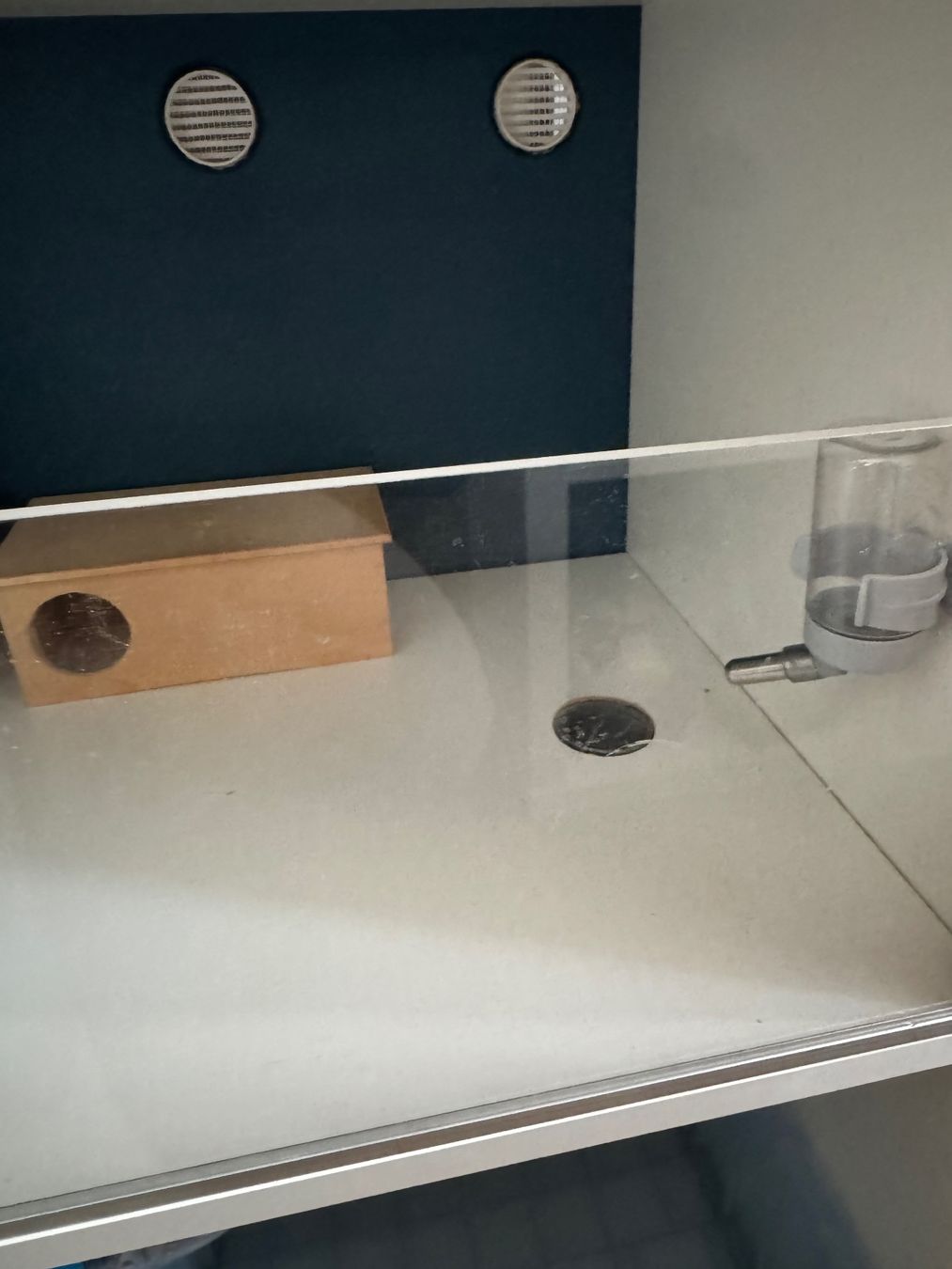 Gabbie, trasporto & Sicurezza: Hamsterkäfig IKEA-Hack Kallax – Usato da Winterthur venduto da Reto7500 4