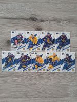 Komplettes Davos Base Playoffset