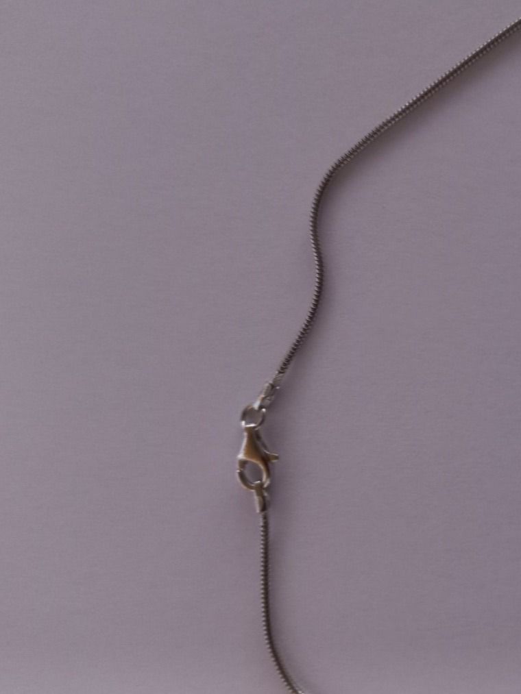 Catenine: Silber Halskette Rohdiniert 60cm – Nuovo e nell'imballaggio originale da Winistorf venduto da acreativ 2