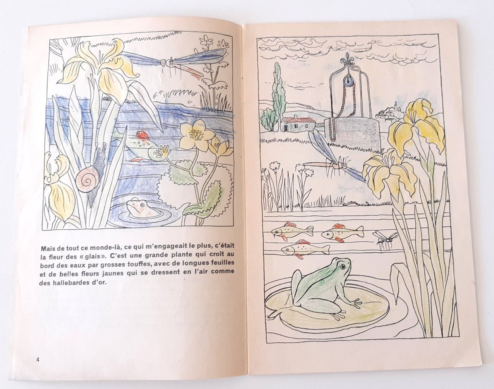 Livres: Les fleurs de glais -  Brochure OSL 478 – D'occasion à Savagnier par Marderuth 4