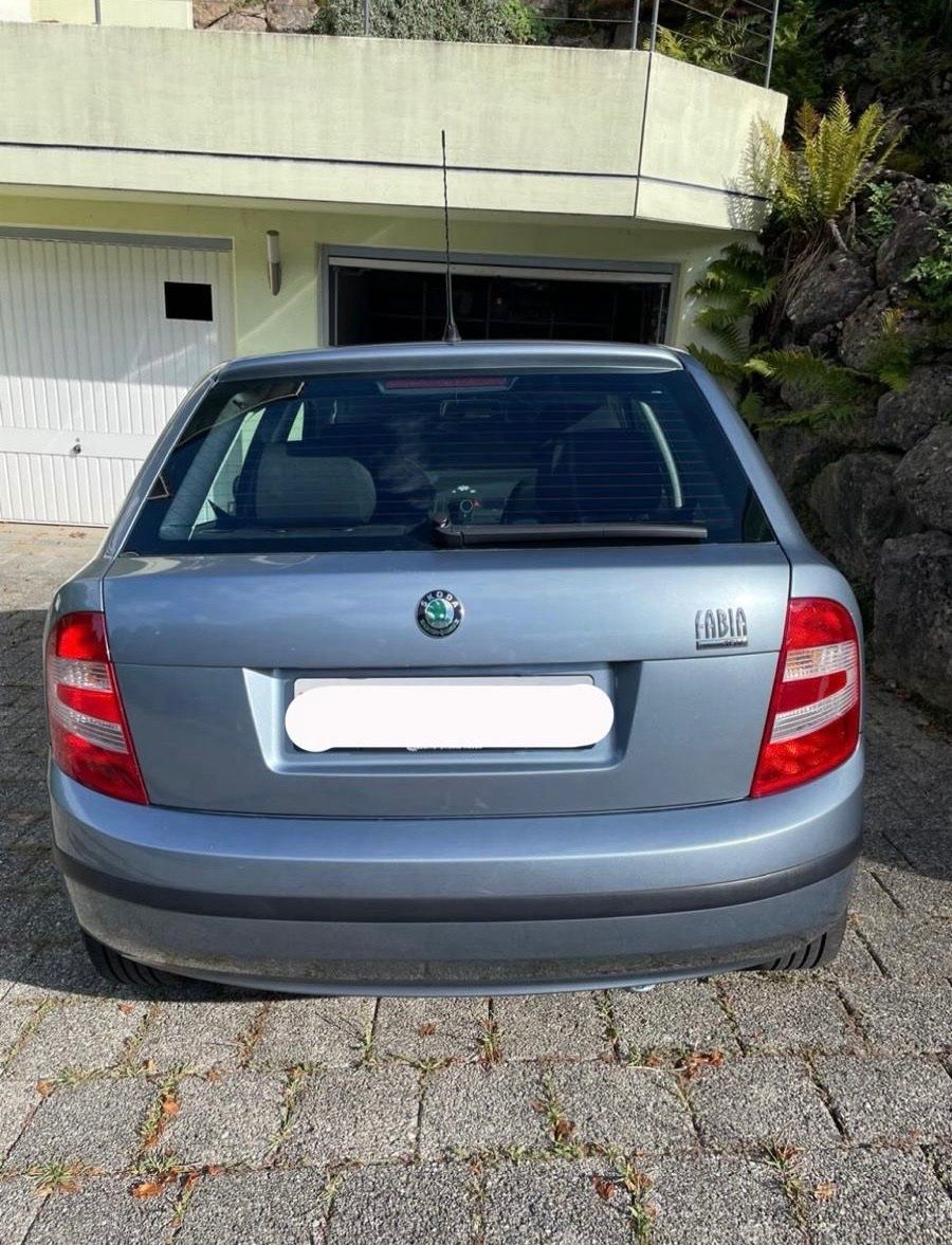 Skoda Automobili: Skoda Fabia Hatchback – Usato da Muri AG venduto da skiweekend 1