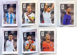Panini Sticker Set (Coca Cola)