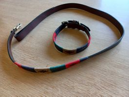 Leder Halsband & Leine grün rot blau beige, separat möglich