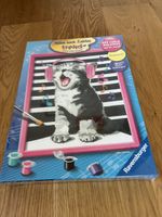 Ravensburger : Peinture par numéros, chat mignon 🎨 Neuf!