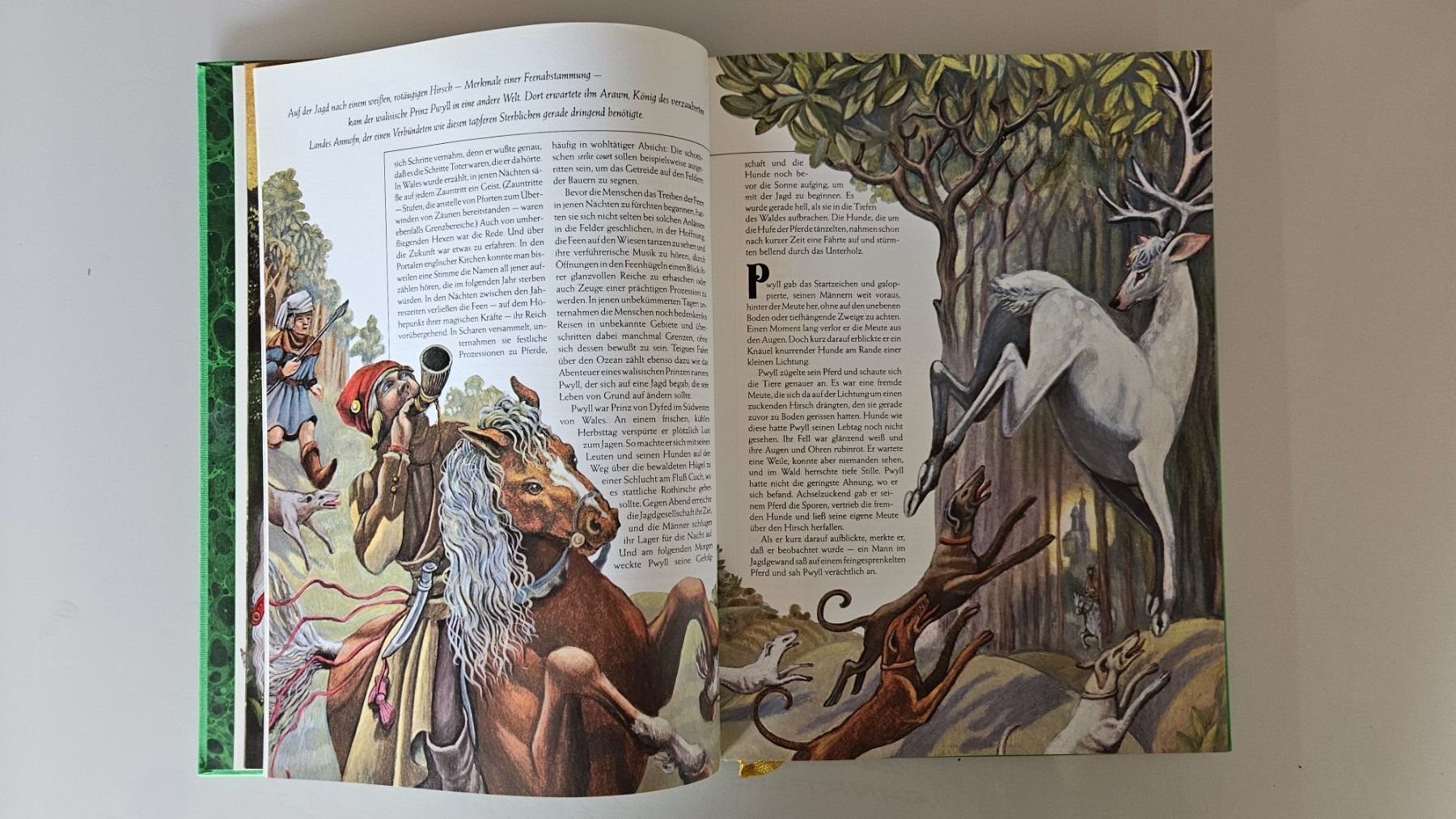 Libri: Feen und Elfen, ein Buch voller Magie – Usato da Basel venduto da True_Hofer_Store 4