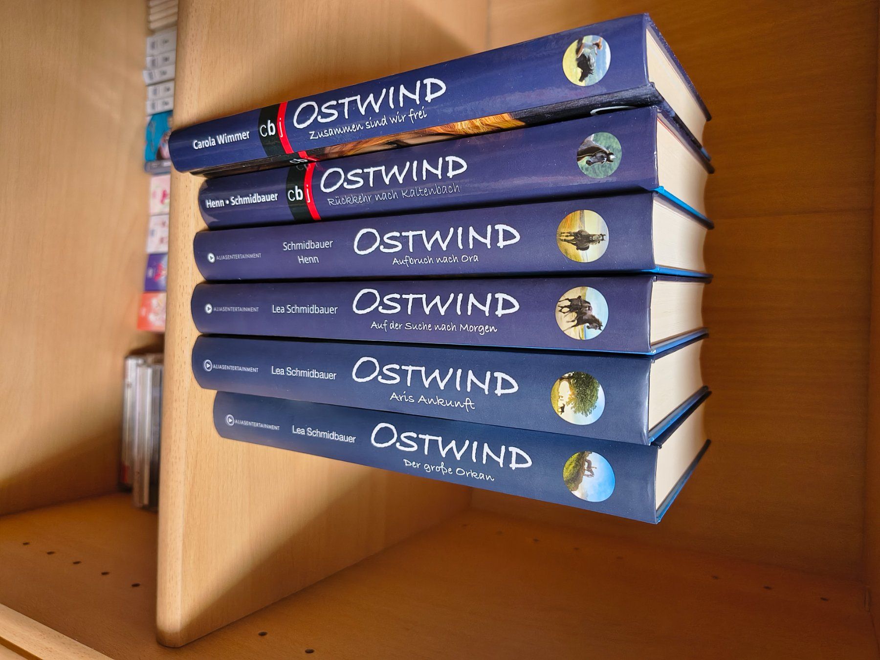 Libri: Ostwind Band 1-6 – Usato da Binz venduto da Shizuka01