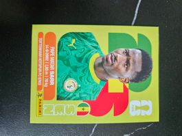 SEN 10