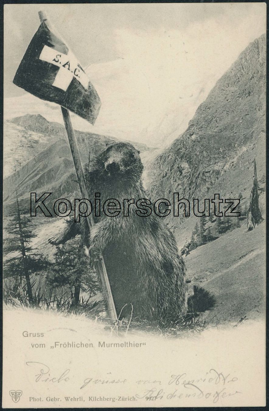 Alle Briefmarken: ZH Dägerst - Stabstempel - Stallikon - Karte – Gebraucht aus Schindellegi von leecollect 1