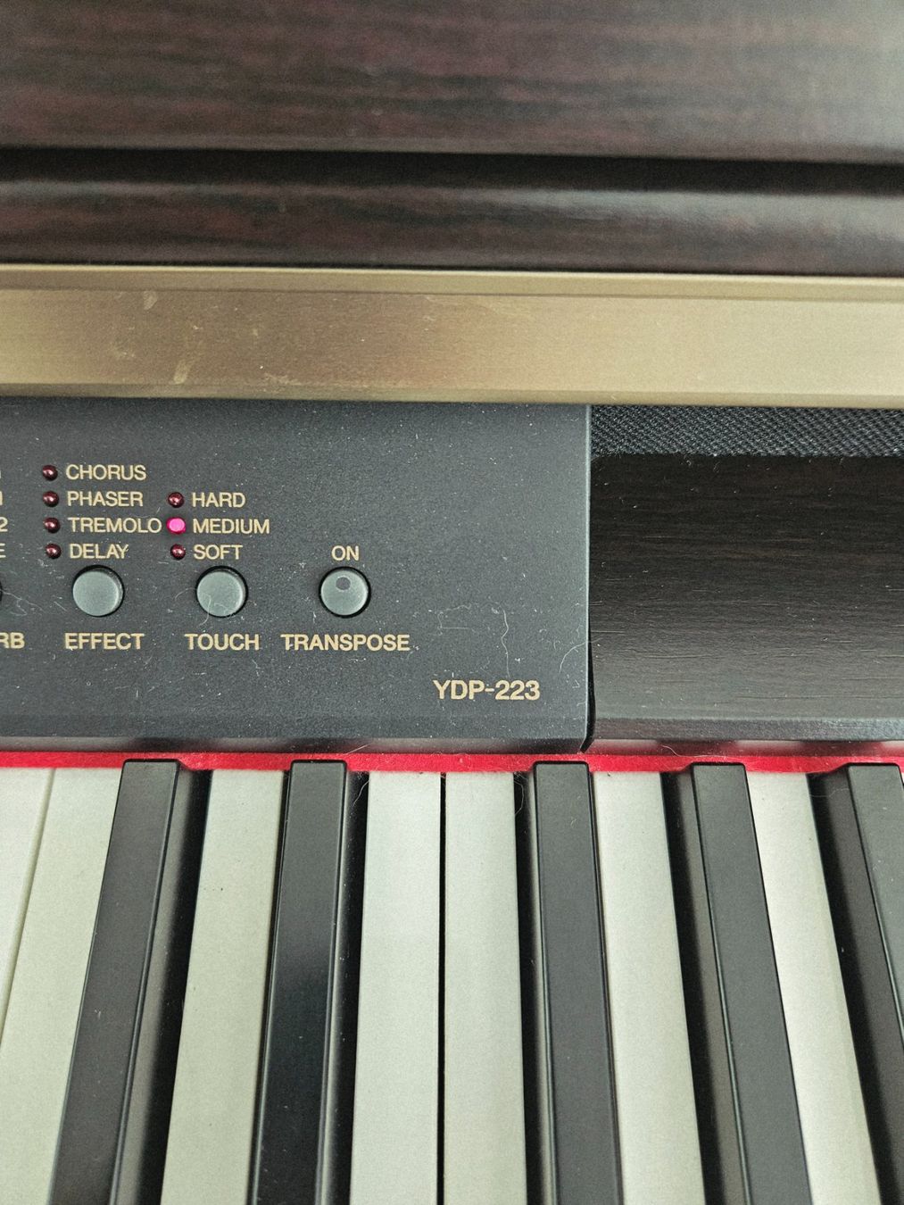 Yamaha Strumenti musicali: E-Piano Yamaha Arius YDP-223 E – Usato da Cham venduto da nimic01 4