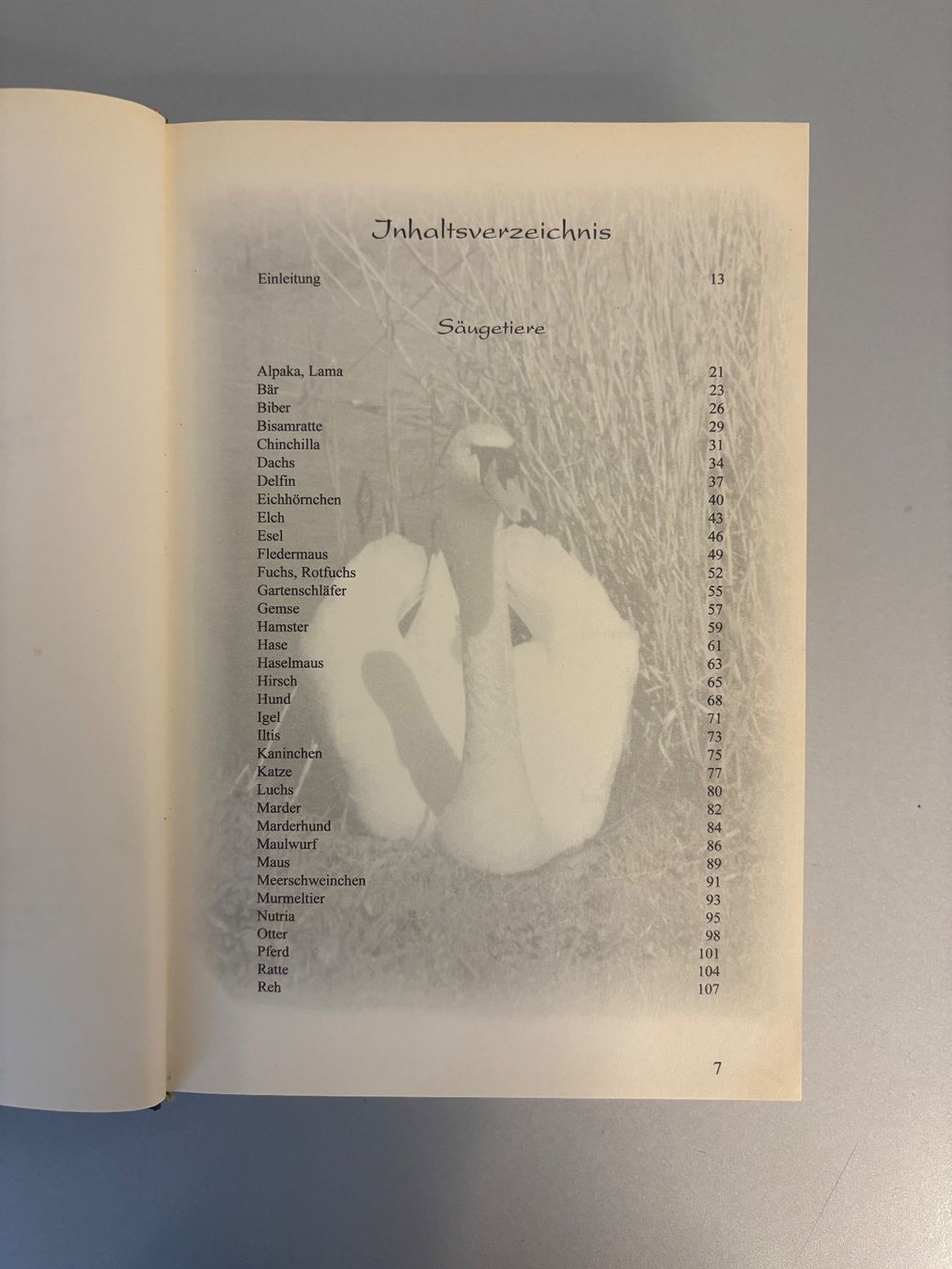 Bücher: Tierisch gut - Tiercharakter-Lexikon Tierregister – Neu (gemäss Beschreibung) aus Unterägeri von flu_zp5d 2