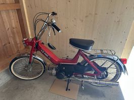 Puch Maxi N