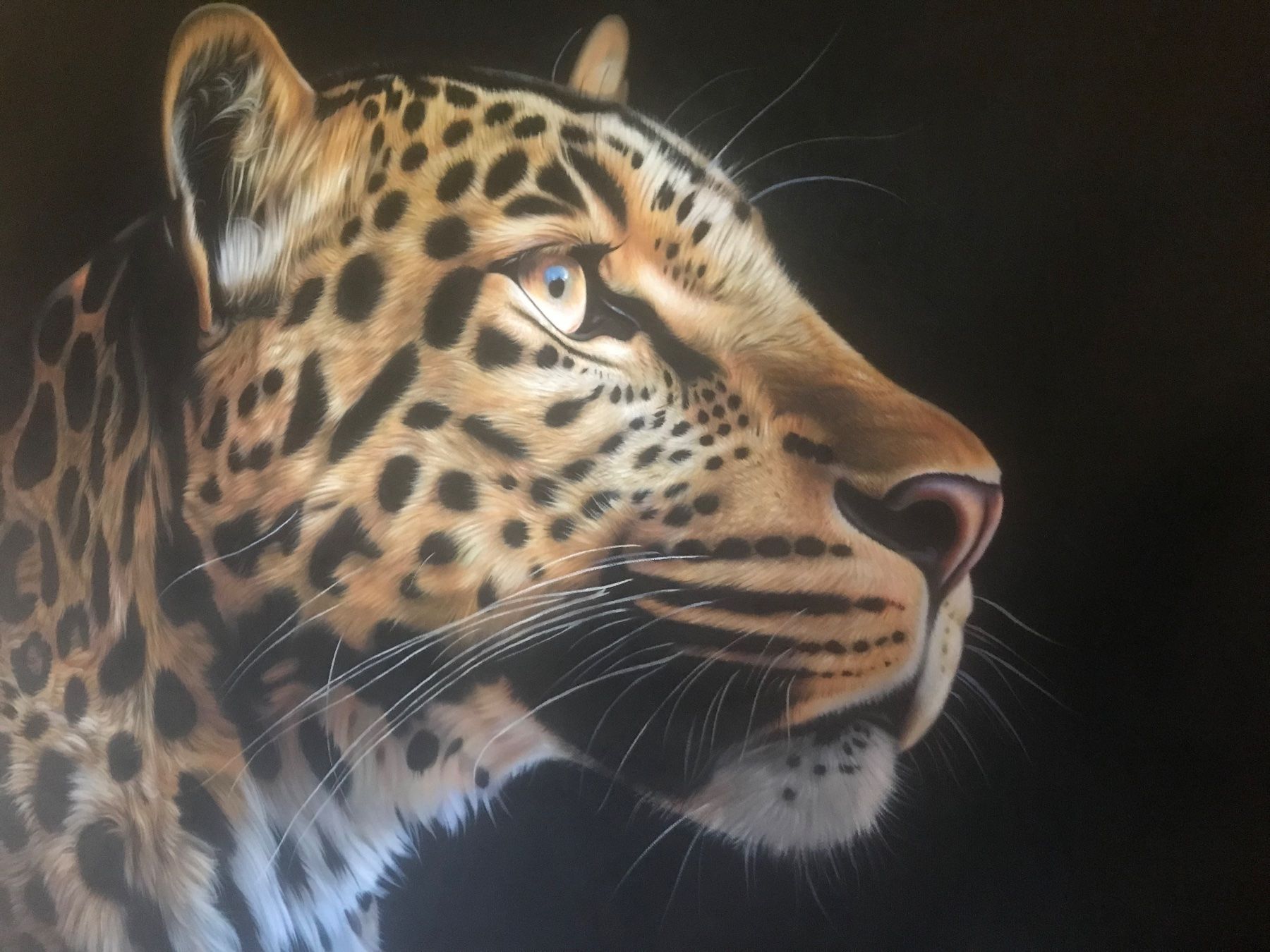 Tableaux: Leopard handgemalt Bousie – D'occasion à Eichberg par Ranney 2
