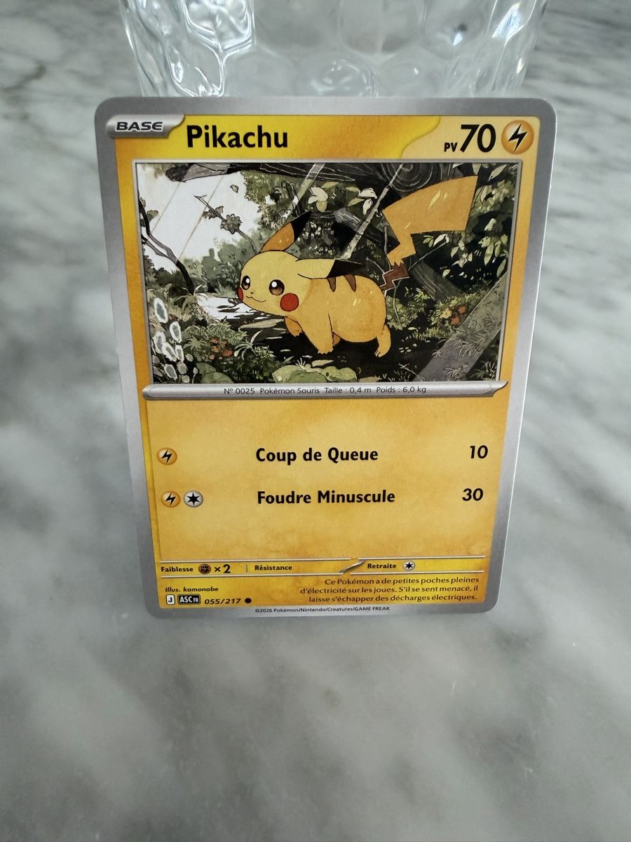 Pokémon Carte collezionabili: Pokémon Pikachu 055/217 (FR)  – Nuovo (secondo la descrizione) da Wetzikon ZH venduto da kev_2rhl