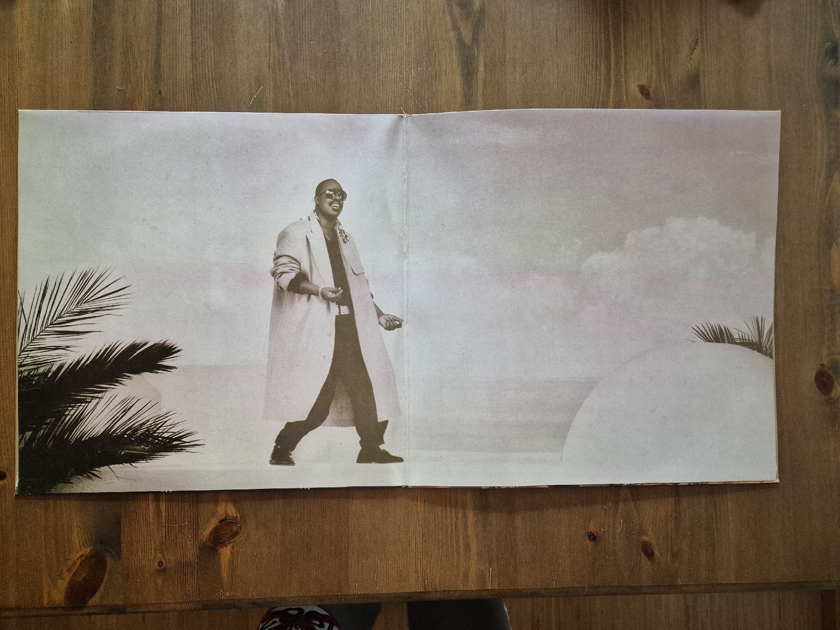 Dischi in vinile: 5 Stevie Wonder Schallplatten Vinyl – Usato da Engi venduto da Hinzi84 1