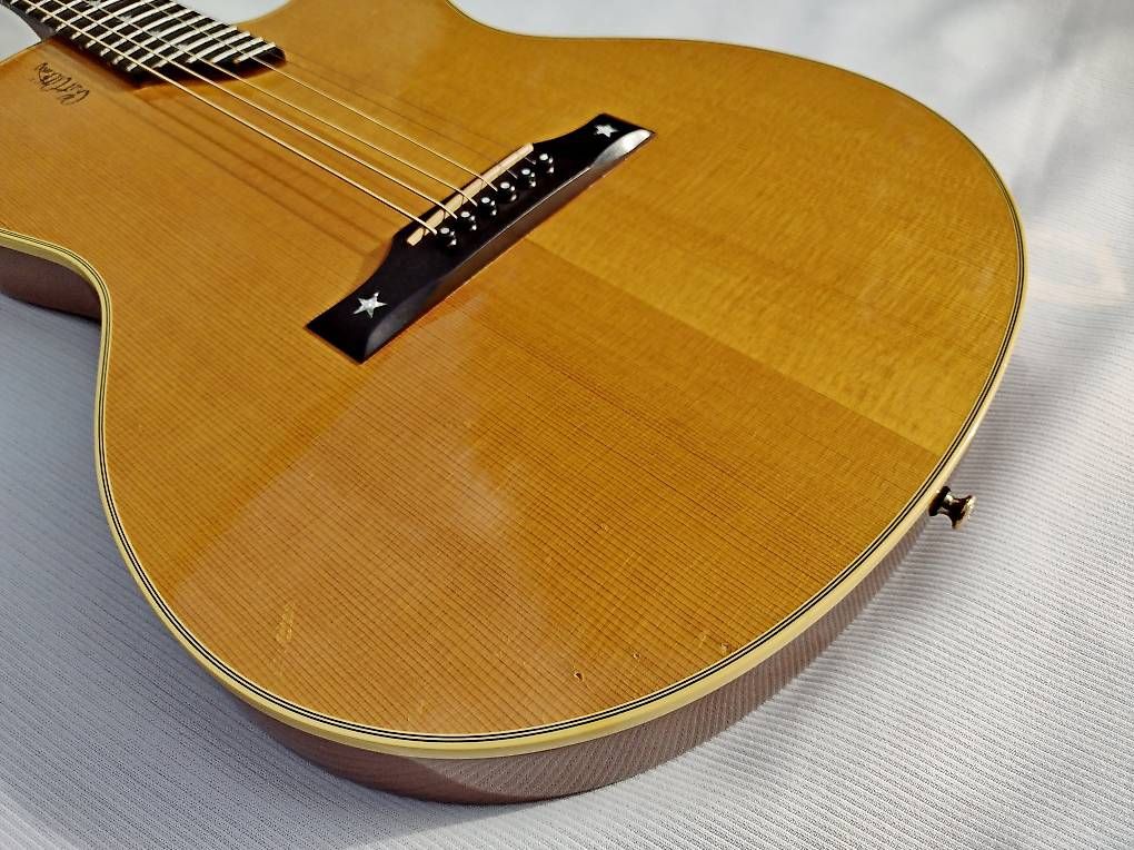 Gibson Strumenti musicali: Gibson Chet Atkins SST 1993 – Usato da Basel venduto da x-hobby 2