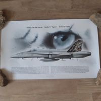 Fliegerstaffel 11 Staffelprint Schweizer Luftwaffe F/A-18