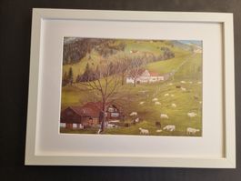 FLÖCKLI DAS GEISSLEIN BILD VON LILLY LANGENEGGER