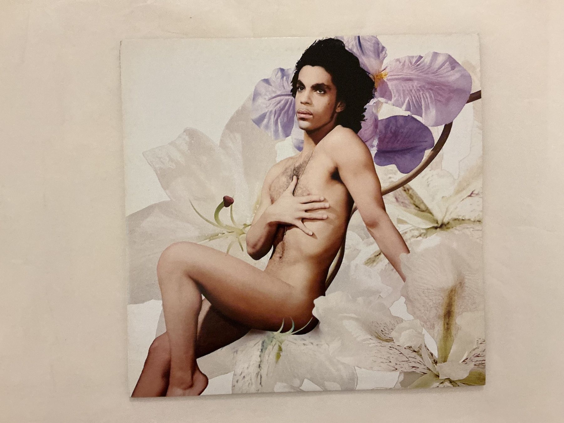 Vinyles: Prince LP - The Gold Experience – D'occasion à Winterthur par Tumko_7_Vinyl