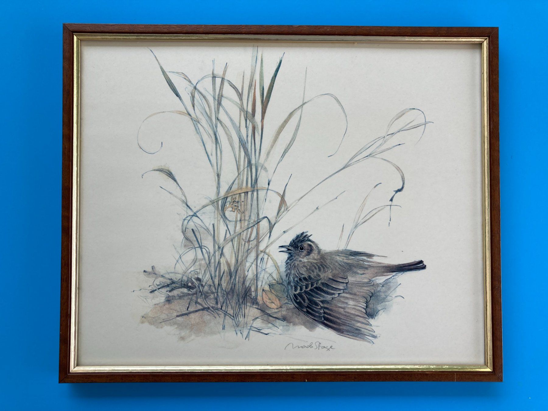 Grafica & Litografie: KUNSTDRUCK VON MADS STAGE   VOGEL – Usato da Subingen venduto da ArtBead