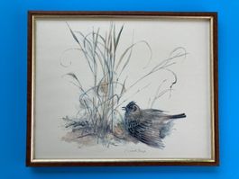 KUNSTDRUCK VON MADS STAGE   VOGEL