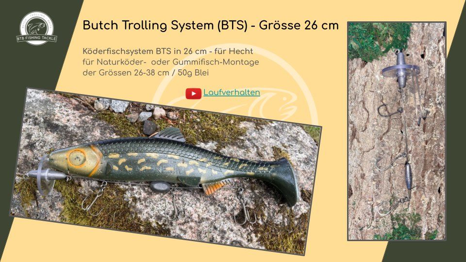 Esche: Köderfisch System - Butch Trolling System (BTS) - Gr. 26 cm – Nuovo e nell'imballaggio originale da Wolhusen venduto da BTB_FishingTackle 3