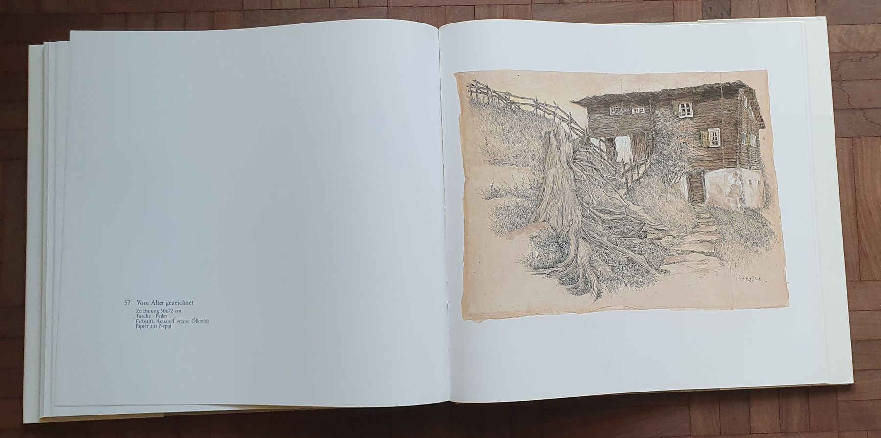 Libri: Buch - Walter Dick - Steinige Bergwelt – Usato da Kreuzlingen venduto da Rschweiz1 7