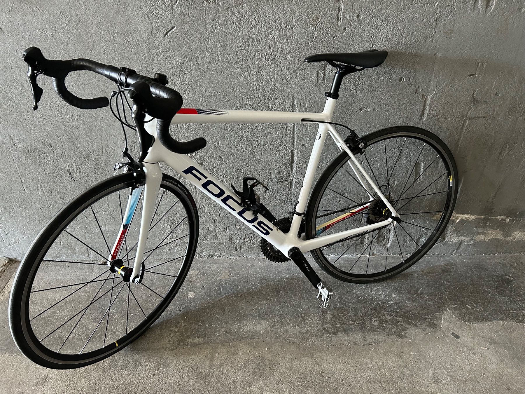 Focus Biciclette: FOCUS RENVELO CARBON – Usato da Bern venduto da Jefkaj
