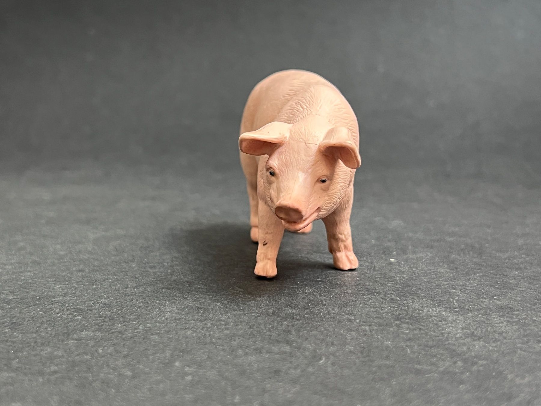 Schleich Statuette: Schleich Eber 13287 Schwein – Usato da Ennetbaden venduto da mapa05 4