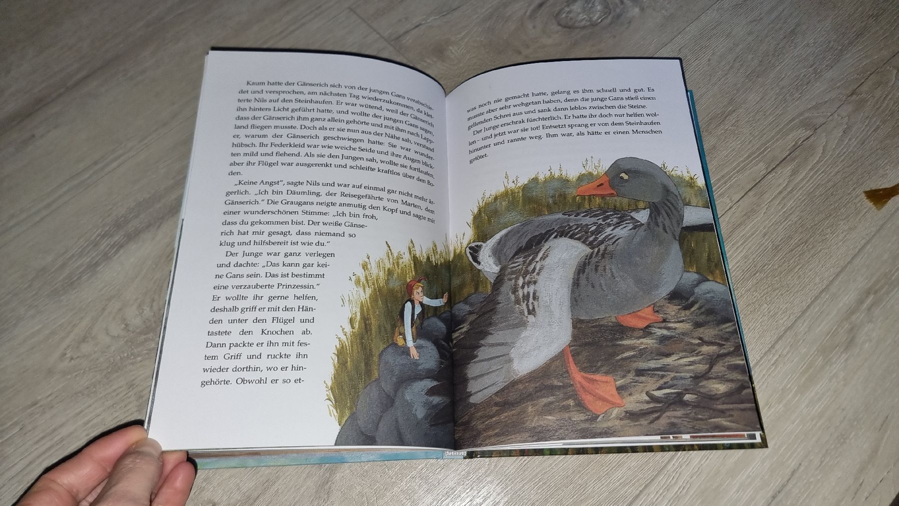 Libri: Nils Holgersson Bilderbuch Neu – Nuovo (secondo la descrizione) da Wigoltingen venduto da Zuckerfee84 2