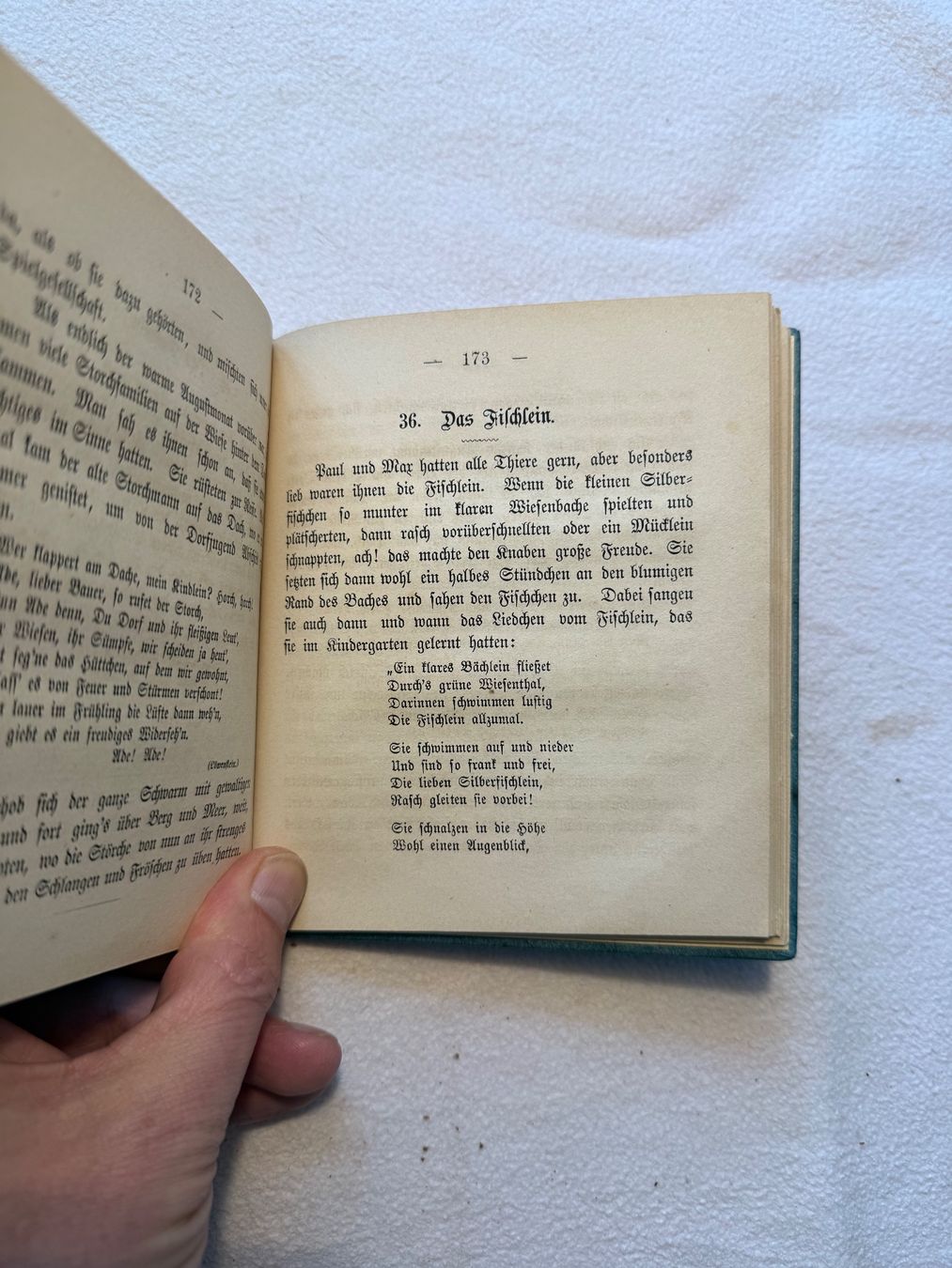 Libri: Der Kindergarten und Alles was da lebt und webt. – Usato da Bern venduto da xberg36 4
