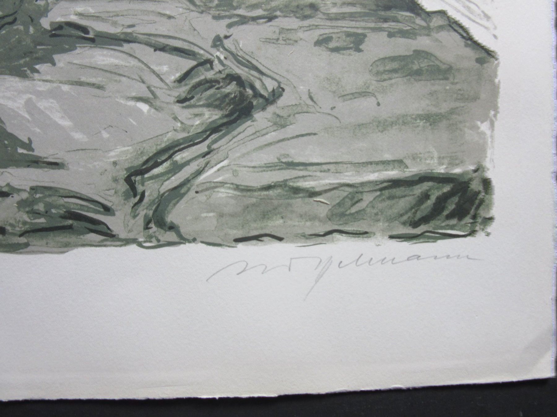 Grafica & Litografie: Diggelmann Alex Walter  LITHOGRAPHIE SIGNIERT – Usato da Gersau venduto da grafik-kunst 2