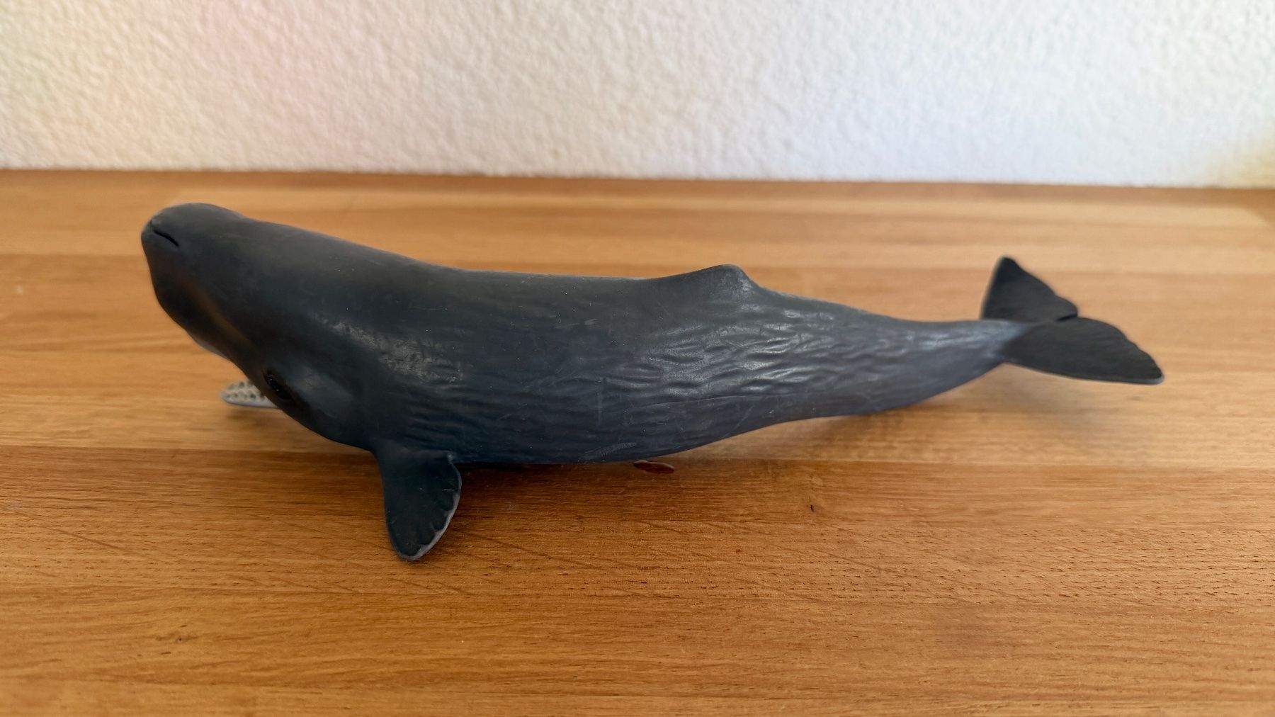 Schleich Giocattoli: SCHLEICH - Pottwal 14764 – Usato da Winterthur venduto da Secondhand-Family 2