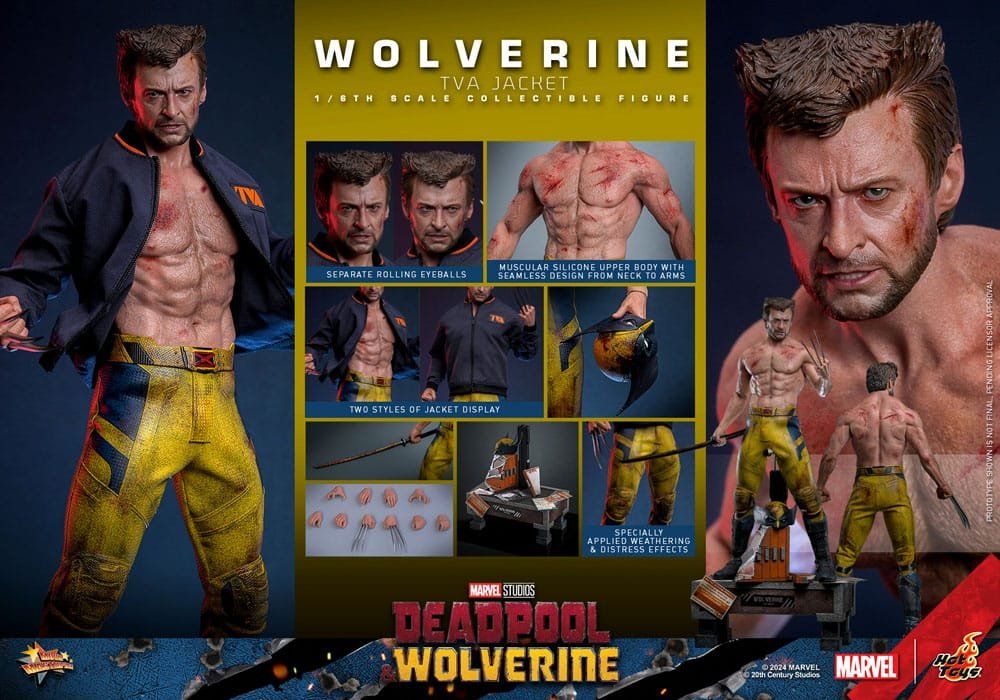 Hot Toys Statuette: Hot toys Wolverine (TVA Jacket Version) – Nuovo (secondo la descrizione) da Aarau Rohr venduto da tobinogio 6
