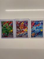 Pokémon First Partner Series 3 DE | Gen 3 Starter | Hoenn
