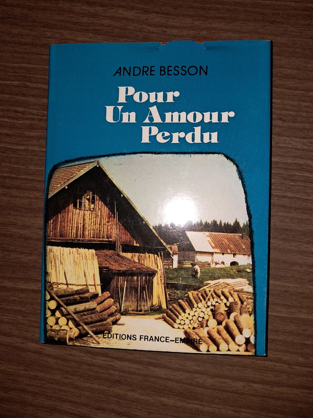 Libri: Pour un amour perdu de andre besson – Usato da Le locle venduto da juliensaran