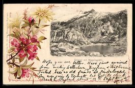 AK Grimsel, Mit Nägelisgrätli, Schöne Blumen im Passepartout
