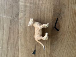 Schleich Löwenjunges