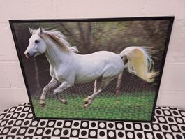 Wandbild "Pferd"