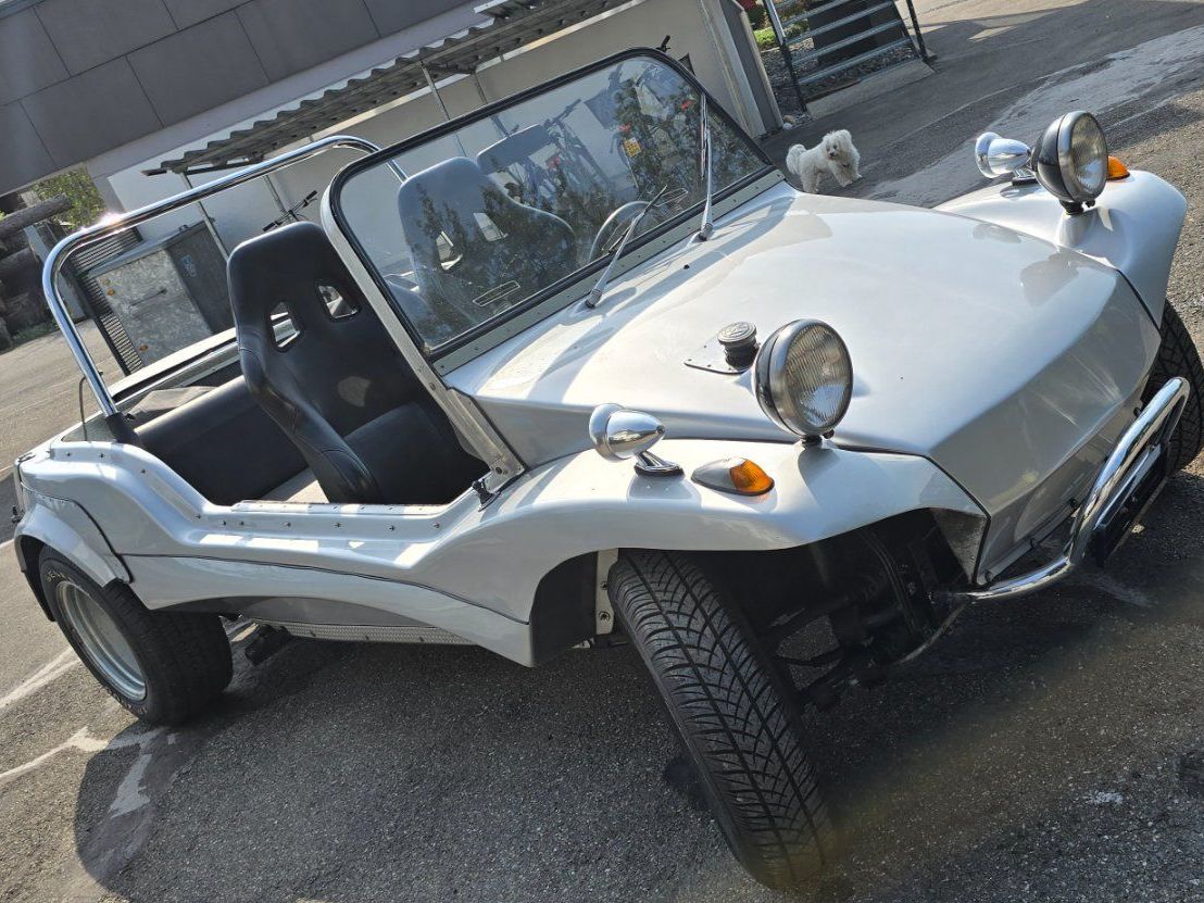 ATV / Quad: VW Apal Buggy Veteran – Usato da Rain venduto da Fafan069 2
