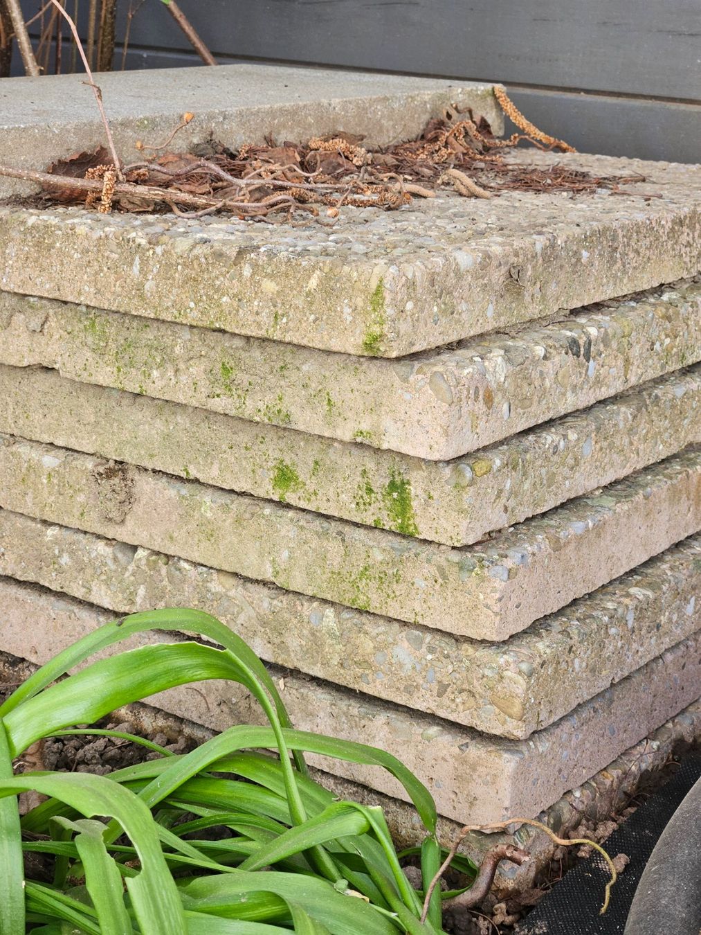 Rivestimenti per pavimenti: Gartenplatten 30Stk – Usato da Niederlenz venduto da Liteoni 1