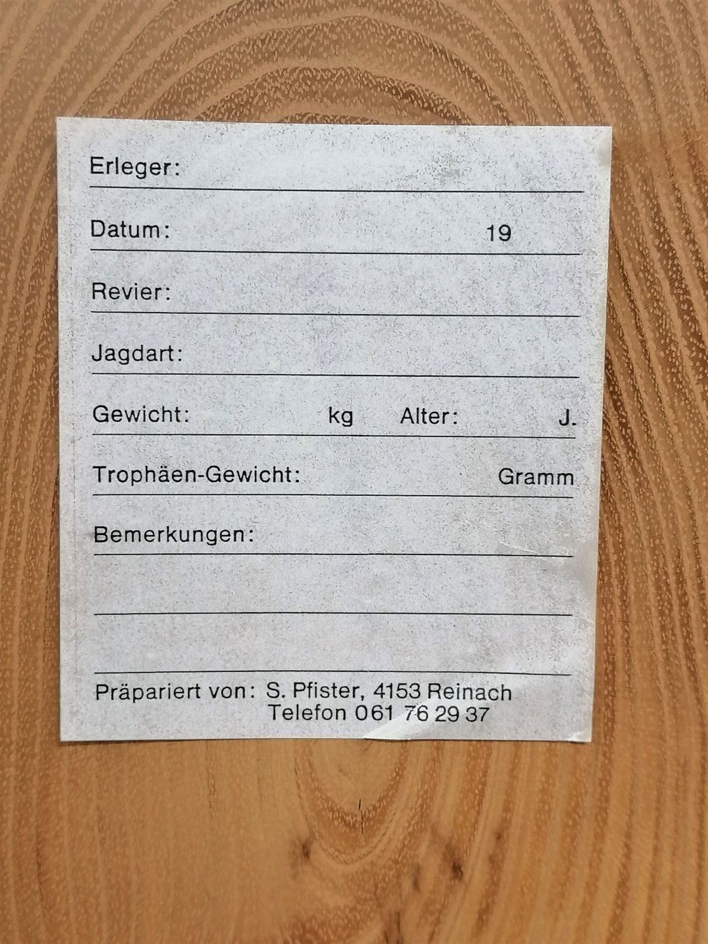 Altre raccolte & rarità: Antilope Kuhantilope Geweih Trophäe – Usato da Reinach BL venduto da fliegenrolli 8