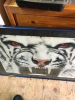 Plakat Bild Tiger !