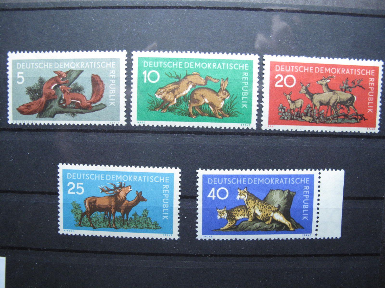 Alle Briefmarken: DDR 1959 Waldtiere ** – Gebraucht aus Wil SG von fva01