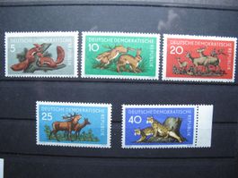 DDR 1959 Waldtiere **