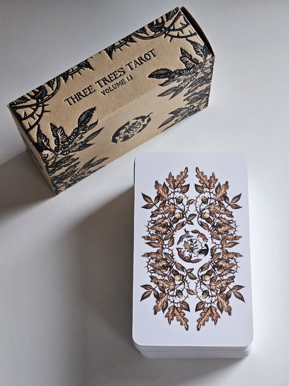 Libri: Oak, Ash & Thorn Tarot – Nuovo (secondo la descrizione) da Nuglar venduto da mjc_cw9f 3