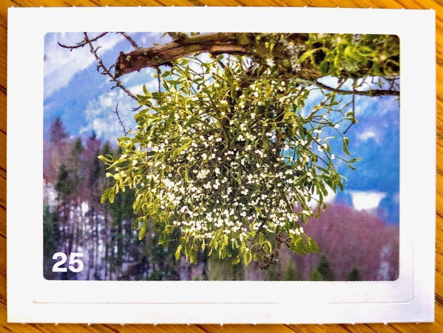 Migros Carte collezionabili: Migros Nature Detectives - Bild Nr. 25 – Nuovo (secondo la descrizione) da Oberrieden venduto da Zimmerberg10