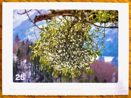 Migros Nature Detectives - Bild Nr. 25